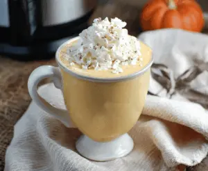 Delicious Crockpot Pumpkin Pie White Hot Chocolate in a cozy mug with whipped cream and cinnamon
