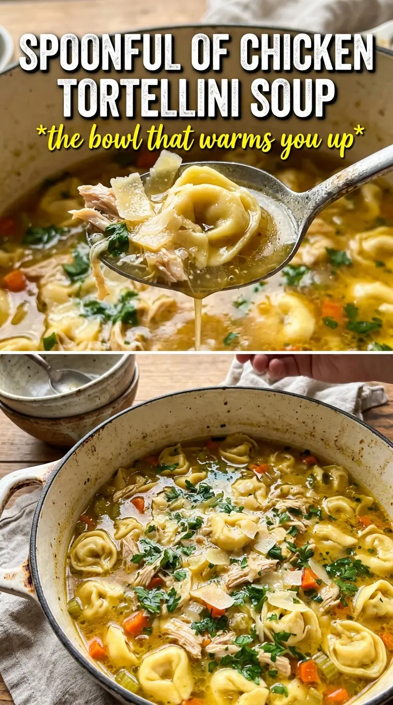 Chicken Tortellini Soup cozy herb broth