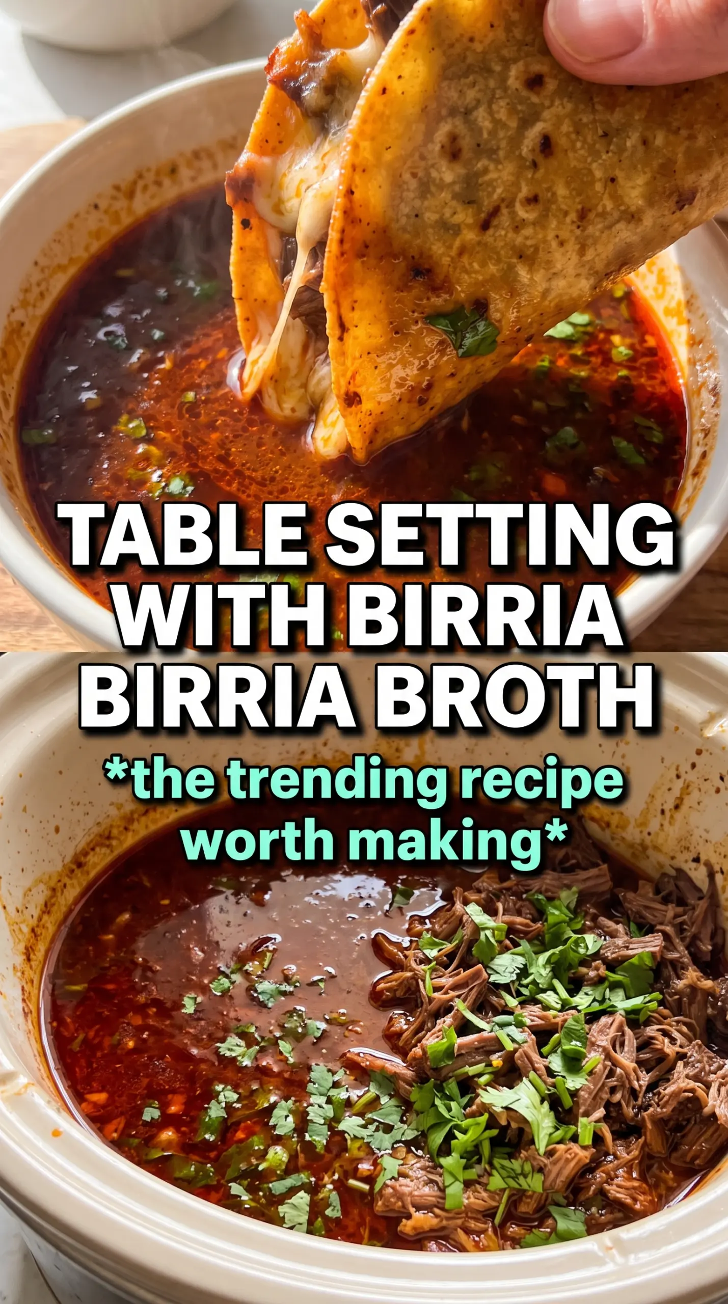 Crockpot Mexican Birria rich chile beef