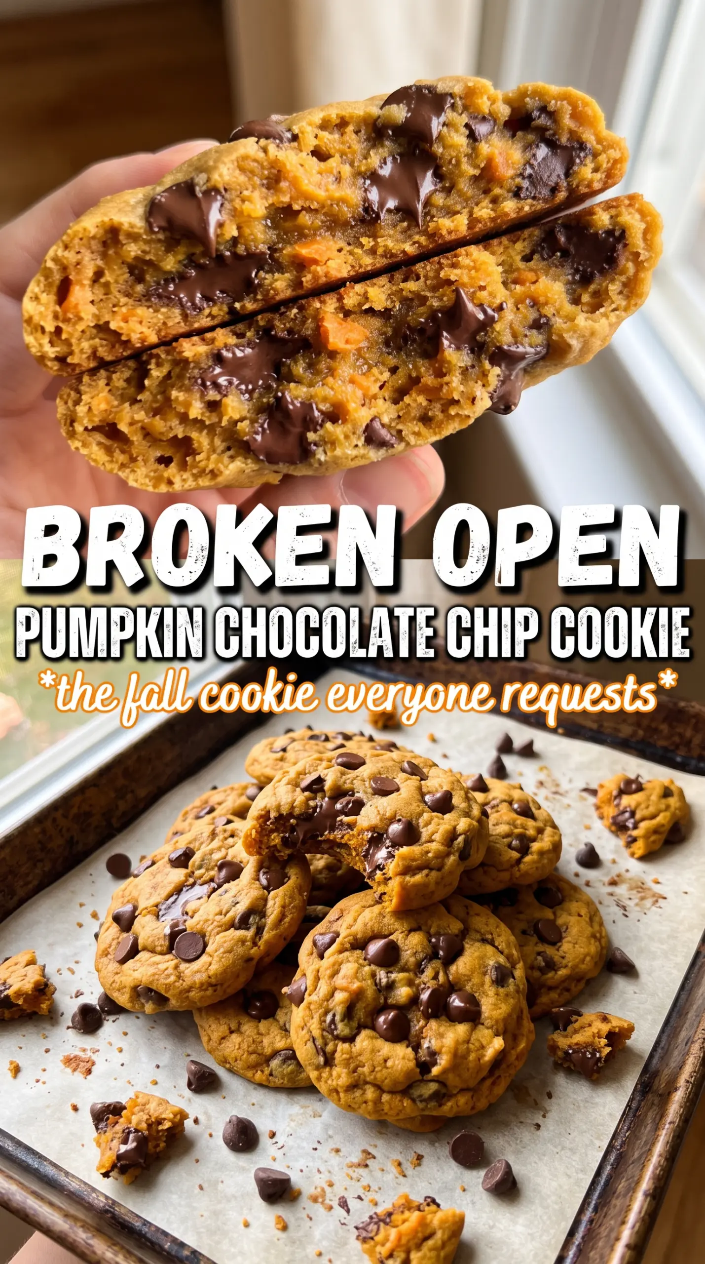Pumpkin Chocolate Chip Cookies soft, chewy, cinnamon