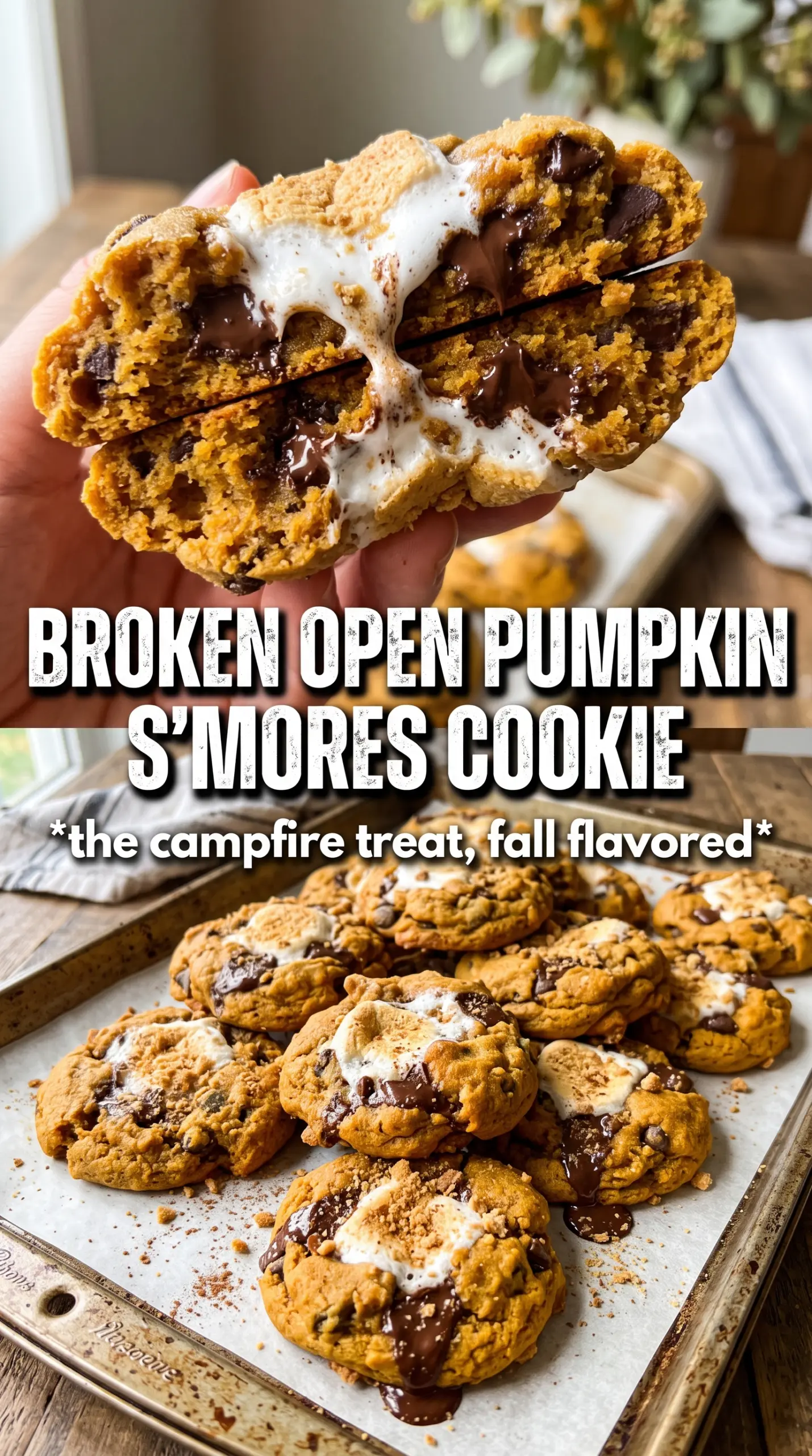Pumpkin S'mores Cookies gooey toasted chocolate